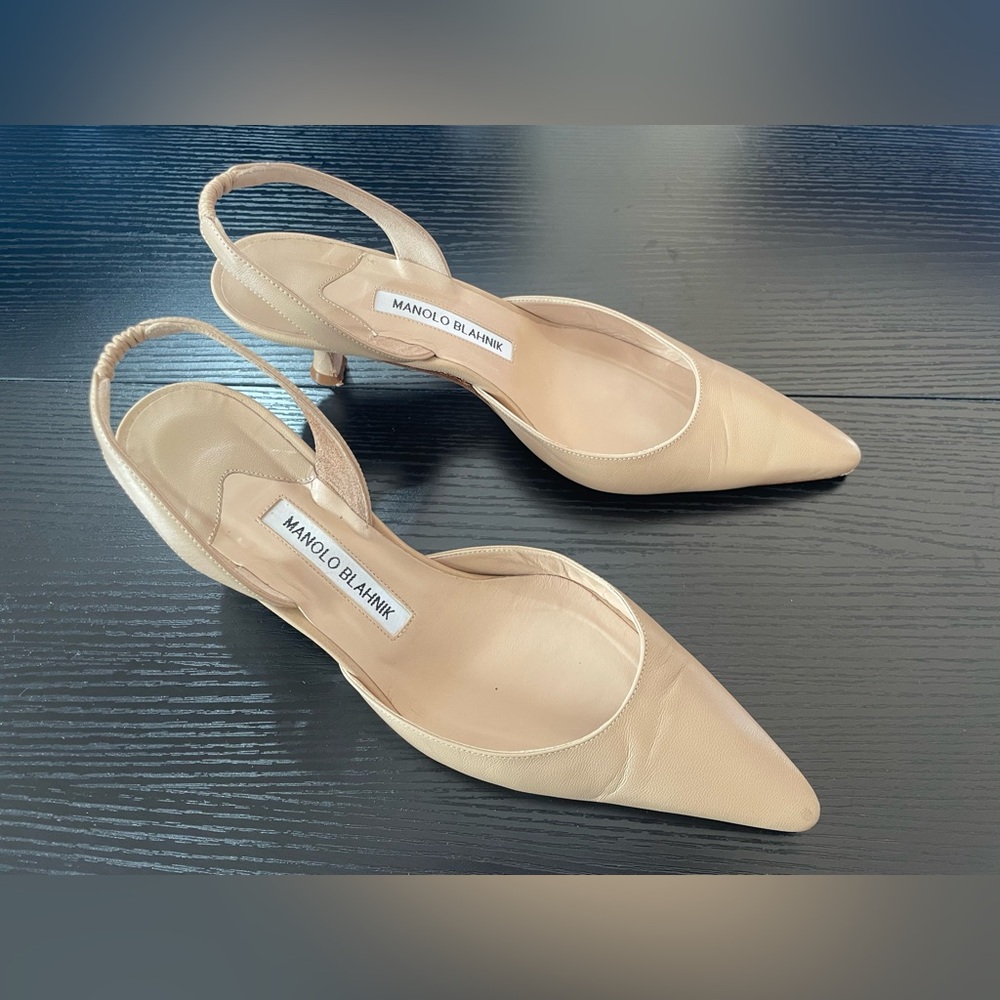 Manolo Blahnik Nude Beige Pointed Slingback Heels - Picture 1 of 9